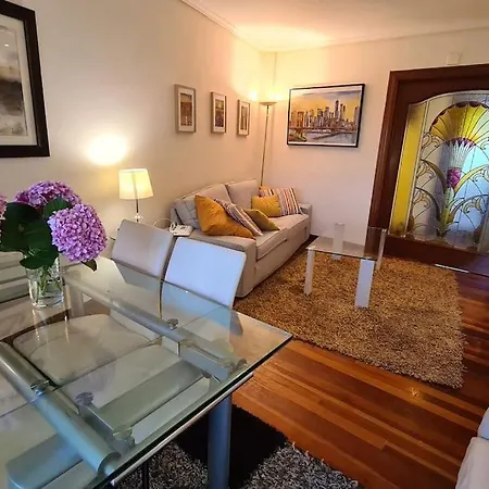 Exclusivo Piso Luminoso Y Calido En Santander, Con Parking Gratuito Y Ascensor Con Acceso Directo Al Apartamento *